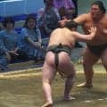 「顔ばっか張って」「ほぼビンタじゃん」三田が再び受難…連日の“張り手”攻勢にファン憤りと困惑
