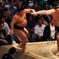大の里が平戸海を下して星を五分に戻した　相撲勘は「徐々に戻ってきていると思う」