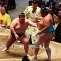 豪ノ山が大関琴桜を破り２勝目　上位戦続くも「勝たないと三役に上がれない」言い訳なし