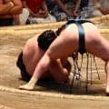 安青錦が５勝目　得意の内無双を切ったつもりが…切れ味十分の下手ひねり「体が自然に動いた」