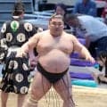 稀勢の里と同期の元幕内が初白星「ほっとしました」鳰の湖が１年ぶり幕下復帰で奮闘【大相撲】