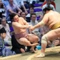 十両・炎鵬、中学の同級生・輝に敗れて４敗目「こういう日が訪れるとは思っていなかった。次の対戦では倒したい」