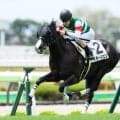 函館2歳S前におさらい 新種牡馬産駒の勝ち上がり状況