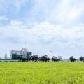 母はG1・2勝の名牝 チェサピークベイが経験馬相手にデビュー勝ちなるか
