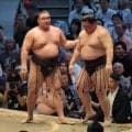 綱取りの霧島、初黒星を引きずることなく５勝目　八角理事長も「一発回答」と立て直しを評価