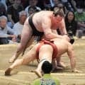 獅司が快進撃　無傷６連勝で単独トップも「何も考えてない。相撲が取れればいい」