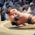 「投げがくる」伯乃富士、読み的中で豊昇龍を切り返し…１年で５個目金星獲得　７日目は大の里戦「思い切りいく」