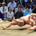 【元大関・琴風の目】伯乃富士の勝因は立ち合い　ステップアップを可能にする必要な要素は…