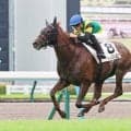 【１８日の注目・福島９Ｒ】ワールドプレミア産駒ドリームプレミアが出走　菊花賞の父子制覇に夢つなぐか