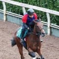 【１８日の注目・小倉９Ｒ】西郷隆盛ＶＳ大久保利通に地方からも“大物”参戦！　維新の三傑にちなんだ九州産馬が令和に激突