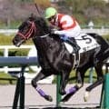 「熊本の星」ヨカヨカの初仔 ヨカオウが初ダートで2勝目なるか