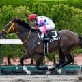 マリーンSは人気馬が堅実 年齢と馬体重に注目だ