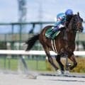 ヤマニンウルスが引退…種牡馬入りの予定