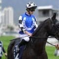 【海外競馬】アルリファーがカラカップ連覇へ…8頭立ての長距離戦