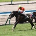 【小倉４Ｒ・ソレイユジャンプＳ】最低人気のヴァレッタカズマが勝利！　小牧加矢太騎手「速いなと思いながらレースに乗れていました」