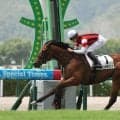 【小倉５Ｒ・２歳新馬】断然１番人気のウインガラハッドが逃げ切る　松山弘平騎手「つかまっているだけでした」