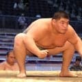 昨年の高校横綱・沢田が３勝目　定年まで残り約１年の師匠の境川親方のためにも「上がれるところまで上がりたい」