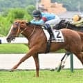 【福島5R新馬戦結果】アドマイヤマーズ産駒シルクドマルスが初陣飾る