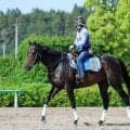 土曜福島競馬場の注目激走馬…福島１１Ｒ阿武隈ステークス