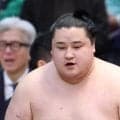 好調から暗転の若ノ勝が右膝負傷で休場、師匠の湊川親方「捲土重来、必ず返り咲く」【大相撲】