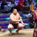 “史上最強の新弟子”旭富士が無傷２５連勝で歴代単独３位に！１９歳ホープに立ち会い変化決める【大相撲】