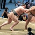 横綱のしこ名を継ぐ旭富士、史上３位の序ノ口デビューから２５連勝　佐久間山の最多記録まであと「２」