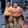 矢後がもろ差しを許して３敗目　後がなくなって「持っている力を振り絞って頑張るだけ」