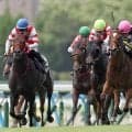 【小倉９Ｒ・ひまわり賞】断然人気カエリールークスが姉妹連覇を達成　佐藤悠調教師「お姉ちゃんも頑張っていますし…」