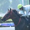 【JRA・WIN5】本日のWIN5は的中132票、配当227万4420円