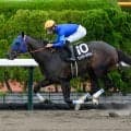 【マリーンS結果】ウェイワードアクトが人気に応えて快勝