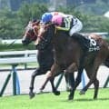 【ひまわり賞結果】カエリールークスが接戦を制しデビュー2連勝