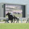 【小倉１１Ｒ・テレＱ杯】１番人気のコウセキが得意の小倉で巻き返して快勝　松山弘平騎手「行く形を選択しました」