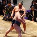41歳玉鷲　通算出場1800回を白星で飾るも「記録に関心ない」　関心があるのは…