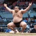 二子山部屋の元十両２人が勝ち越し　生田目は全勝同士の旭富士を意識「やりたいです」