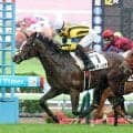 【函館１２Ｒ】６８５１人の声援が後押し！函館初リーディング狙う地元・丹内祐次騎手が３勝目　大声援に「風が吹いてましたね」
