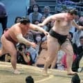 獅司が初黒星　錦富士に敗れ、７日目で幕内全勝消える