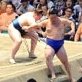 安青錦が６勝目　立ち合い変化の藤ノ川に、落ち着いて対応し、白星
