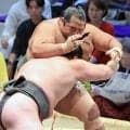 幕下・生田目がストレート勝ち越し　５番相撲で２５連勝中の旭富士と対戦の可能性「燃えますね。話題をかっさらいたい」