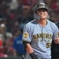 「念願の6番バッターの定着が目前だっただけに…」首位阪神から伝わった23歳外野手の“悲報”にファン絶句「せっかく近本が帰ってきたのになぁ」「痛すぎる」