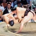 豊昇龍が５勝目　平戸海に勝ち連敗回避　横綱初優勝にはもう負けられない