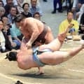 綱取りの霧島が１敗堅守　琴勝峰に勝って６勝目
