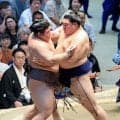 両横綱は勝つ　綱取りの霧島、大関復帰目指す安青錦はともに６勝目　カド番の琴桜は４敗目　勝ちっ放しは消え、１敗は霧島ら７人