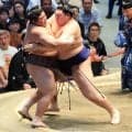大の里が３連勝で４勝目　今場所初めて白星先行　過去２勝３敗と分の悪い伯乃富士を下す