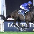 ９日に重賞勝ったばかり...Ｇ１・９勝レベルスロマンスが電撃引退！　２４年ドバイ・シーマＣでは日本馬４頭に勝利