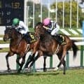 【小倉記念前日オッズ】ジョバンニが3.2倍で1番人気