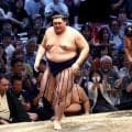 横綱大の里が伯乃富士を圧倒、４勝３敗と白星先行　横綱豊昇龍は豪快なすくい投げで平戸海を下す