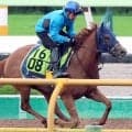 【函館２歳Ｓ・土曜気配】渋った馬場を味方に台頭するのはこの馬！　高橋一調教師も「期待したい」と一発狙うクロリス