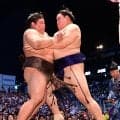 大の里、前日金星の伯乃富士を電車道で圧倒して３連勝「冬眠していた化け物が目覚めた」の声