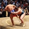 藤ノ川　立ち合いで大きく跳躍する奇襲も４敗目　シンプルな４文字で敗因を説明
