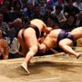 豊昇龍、右ひざにテーピングも「問題ないよ」平戸海に豪快なすくい投げ